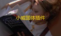 小威国体插件